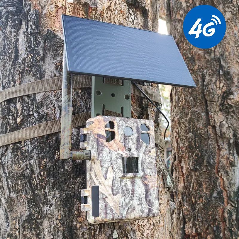 4G LTE Wildlife Solar Hunting  - Trail Camera Infrared review and price