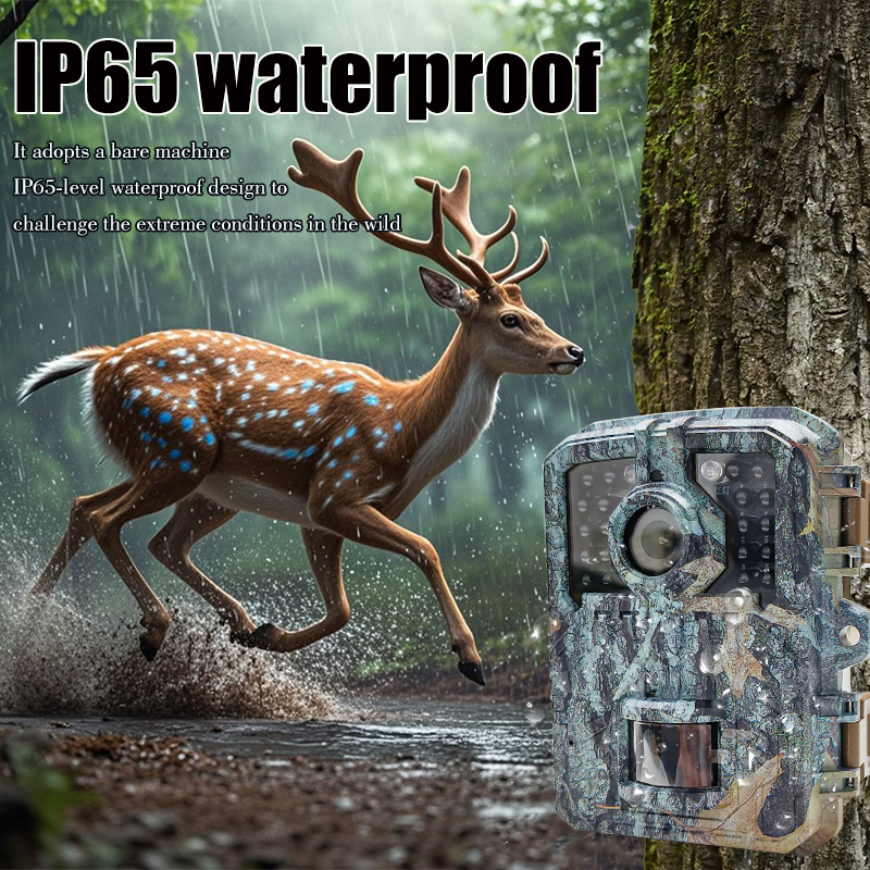 Trail Camera 16MP 1080P Waterp - Trail Camera Infrared review and price