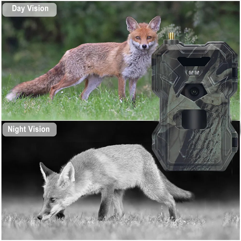 HC-880Pro Outdoor 4G 30MP HD 2 - Outdoor Hunting Camera Wireless review and price