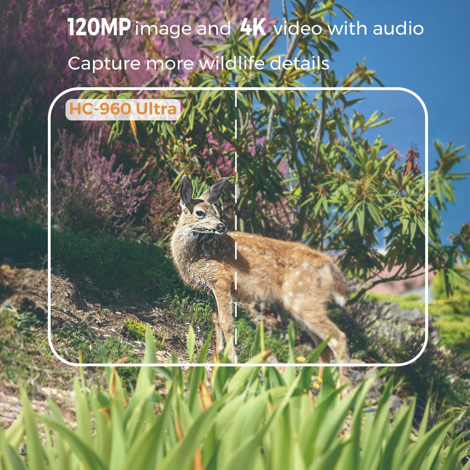 4G outdoor wildlife infrared c - Trail Camera Infrared review and price